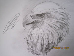 Eagle