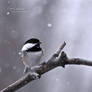 .: little flakes :.
