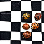 : beetle chess : by hellfirediva