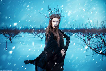 The Snow Queen #2