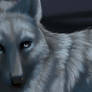 Winter Wolves: Preview