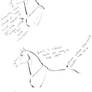 How to draw horses: Tutorial