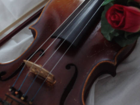 My Violin