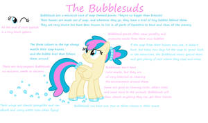 Bubblesuds Pony Race