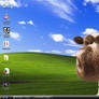 My Desktop