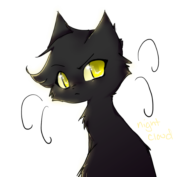 Nightcloud by pichuspokeball on DeviantArt