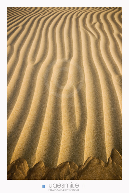 Desert Fingerprint