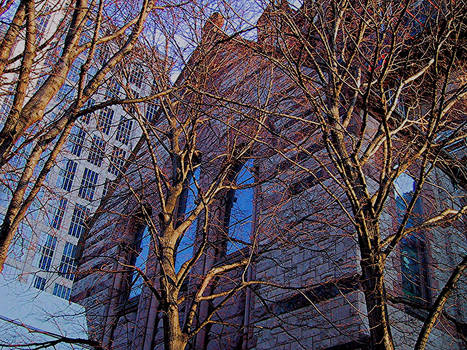 church through trees