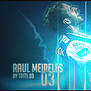 Raul Mereiles Fc Porto