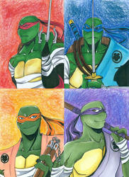 TMNT Feudal Era