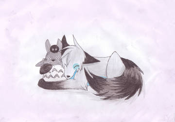 Hokus loves his Totoro plushie