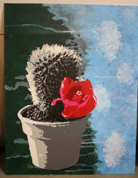 Gray Cactus, Red Flower.