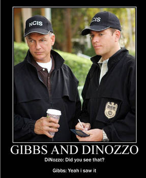 NCIS Motivational Poster 1