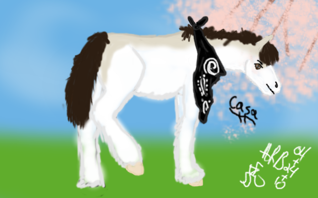 Casas filly Ref by NinjaChinHo