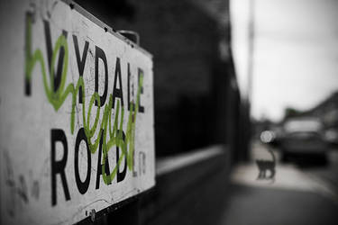 Ivydale Road