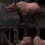 Rhino Texturing