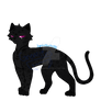 Panther Something