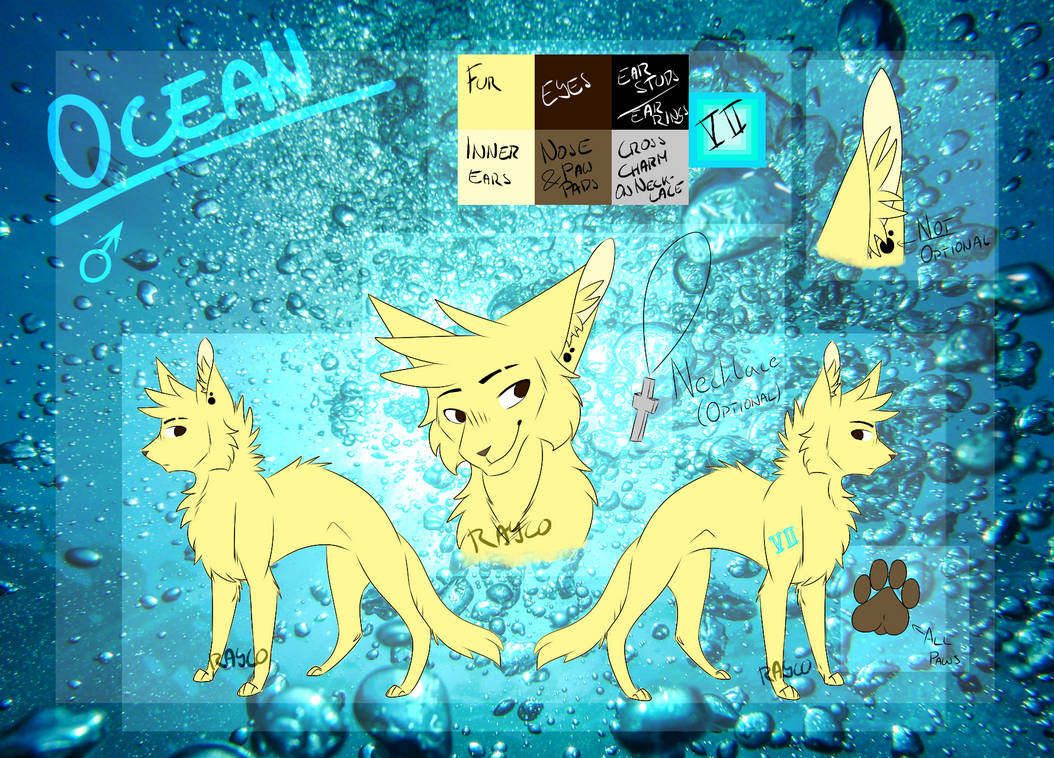 Ocean Rp Thing Ocean Ref by Raydioactivity on DeviantArt