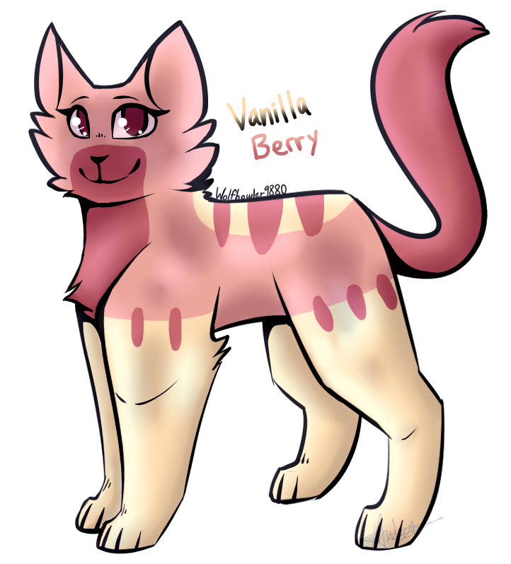 Cat Adopt~ Vanilla Berry