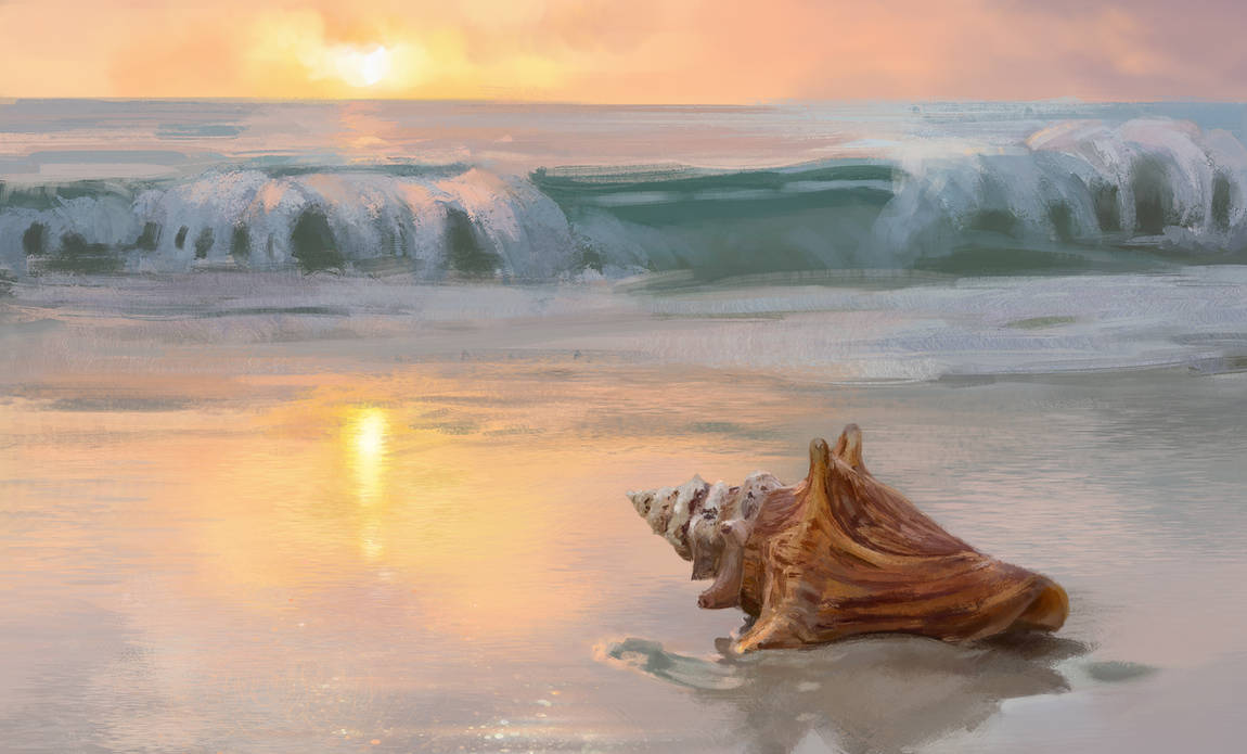 Conch on the beach by Aliena85 on DeviantArt