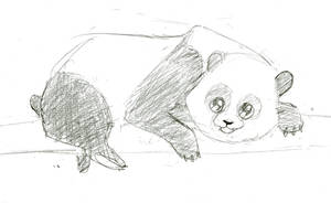 Panda Sketch