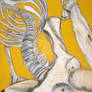 Bones