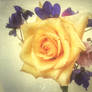 retro yellow rose