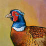 Pheasant