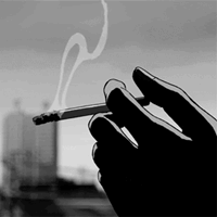 more cigarettes buy online More Russian Federation W2 01 more cigarettes buy online More Russian Federation W2 01