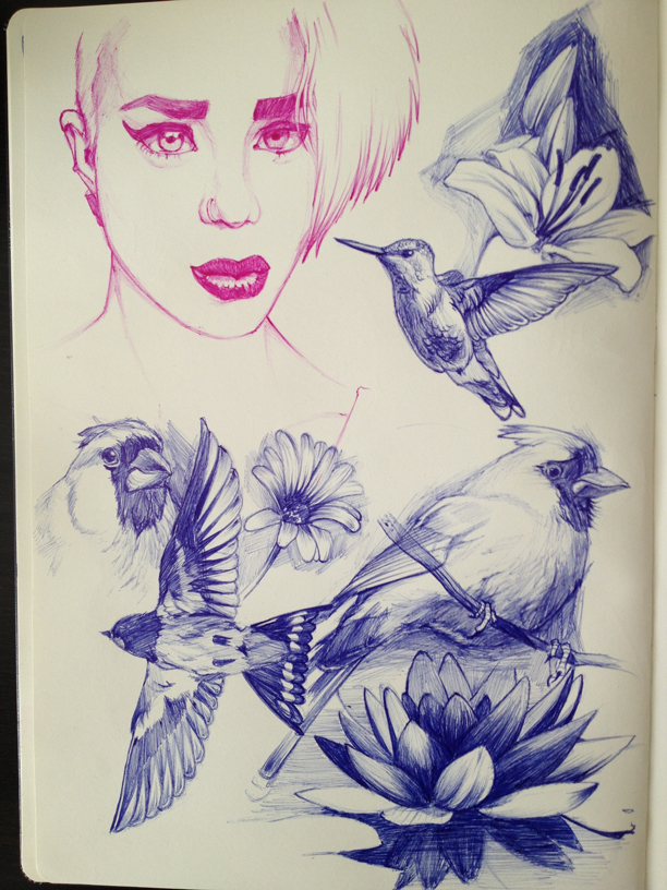 Bird and flower studies