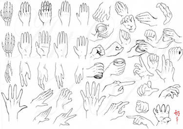 Study: Hands