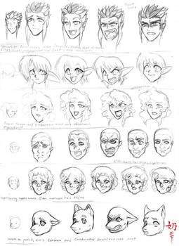 Study: Expressions