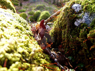 Next to Ashness Bridge