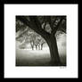 paysages noir et blanc