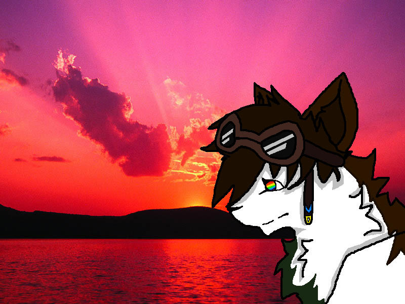 Tsaki by lionclaw11 on DeviantArt