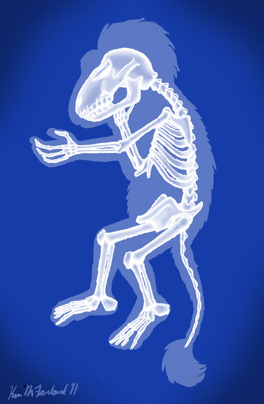 Fraggle Bones
