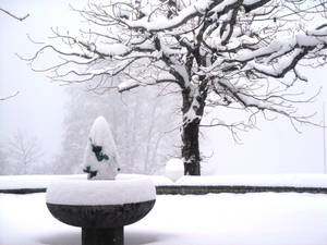 Winter -The Lone Pond-