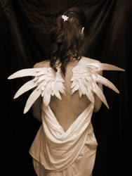 Paper Wings