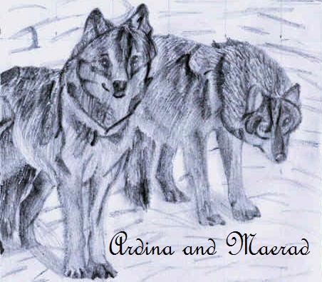 Maerad and Ardina as wolves