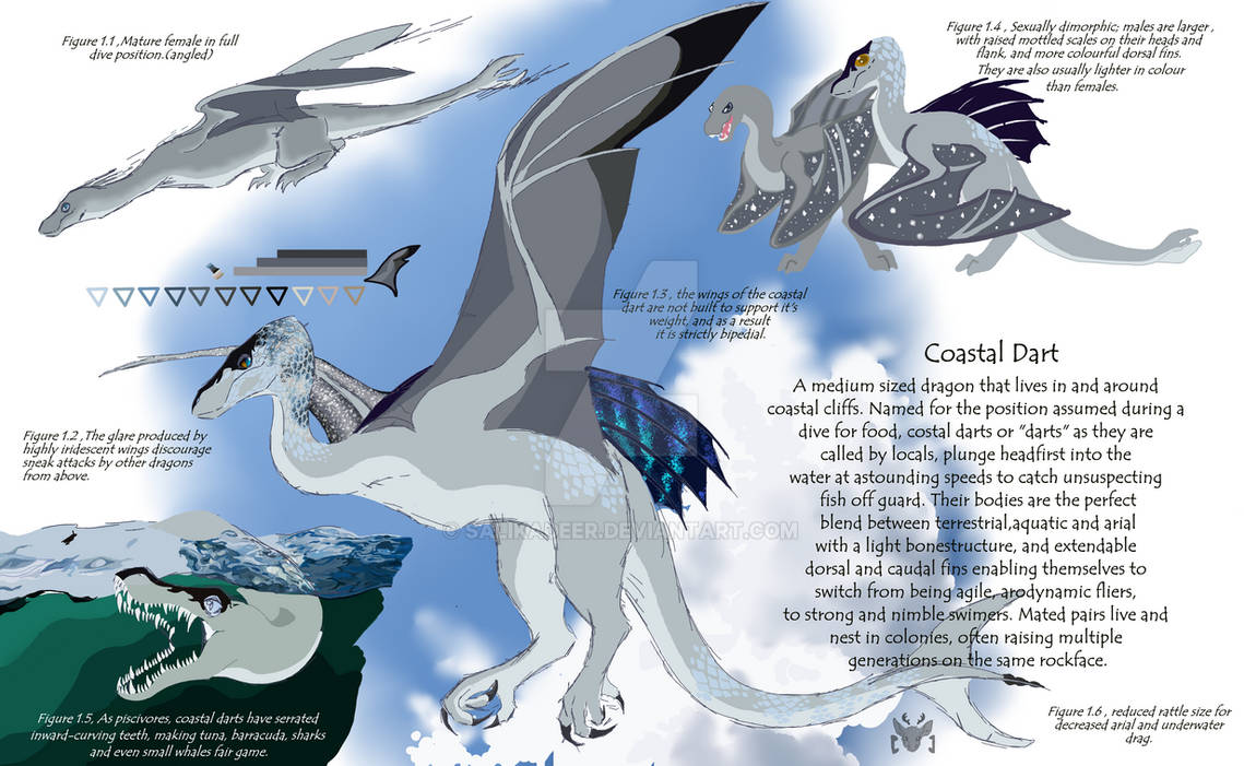 Dragon species concept. by salikadeer on DeviantArt
