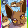 Pokemon card|Eevee|Gift