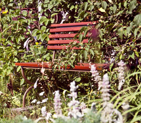 bench