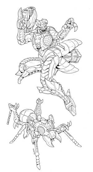 BW Sourcebook