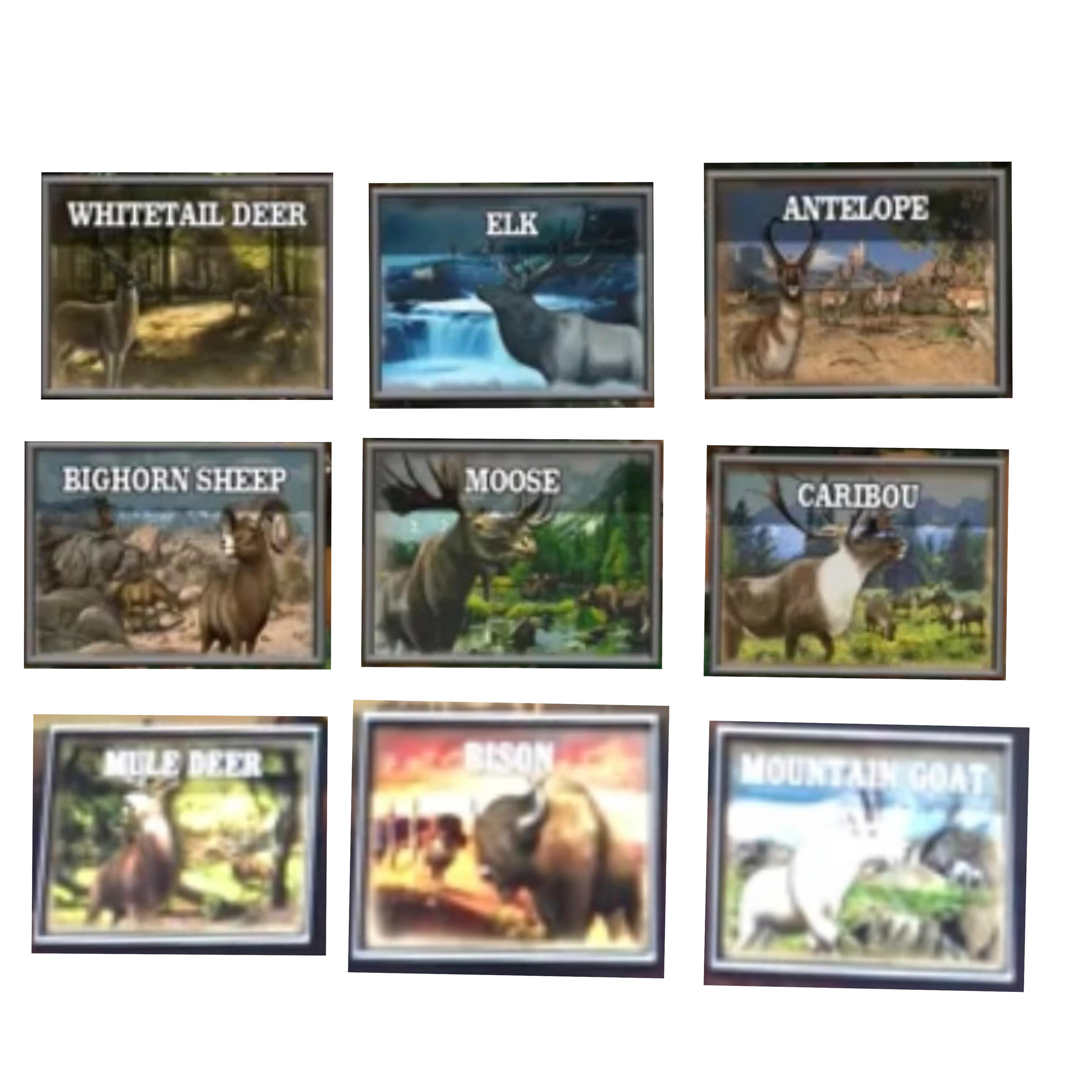 9 Adventures From Big Buck Hunter Pro Open Season By Dhvipersrt10 On 9-adventures-from-big-buck-hunter-pro-open-season-by-dhvipersrt10-on
