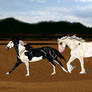 WBS WECOS Show - Liberty - Iso and Playe