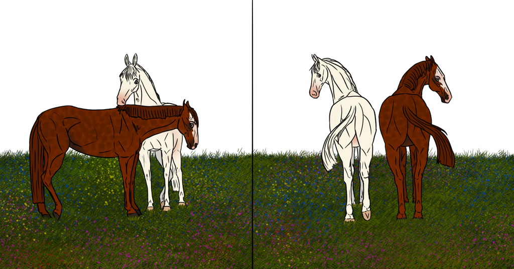 .::Japan Cup::. The Apocalypse .::Extra::. 2 and 3