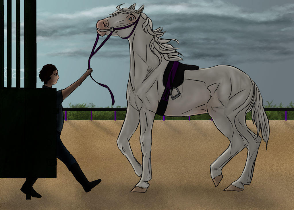 (1/3) Commission For Angry-Horse-For-Life