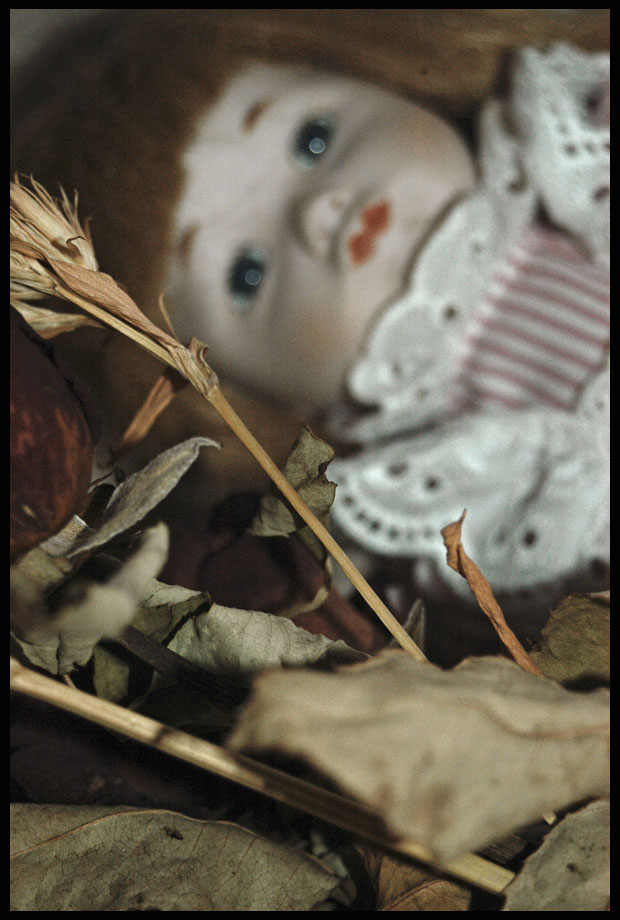 Forgotten Doll