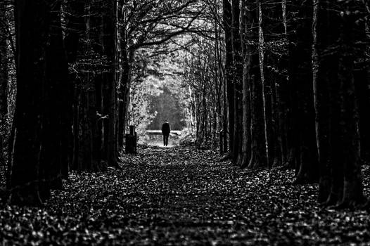 Old man walking at the end of a path