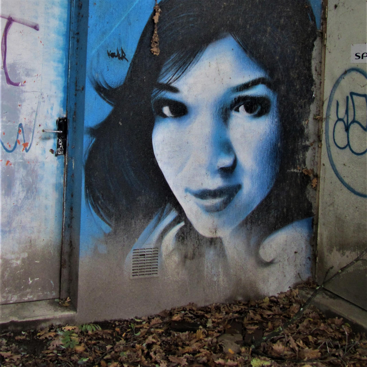 Street Art Pau Portrait By Triplechoc On DeviantArt street-art-pau-portrait-by-triplechoc-on-deviantart